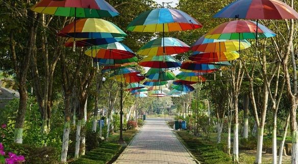 Taman Bunga Rozeline, Destinasi Wisata Cantik di Desa Wisata Nipah-nipah yang Dekat dengan IKN