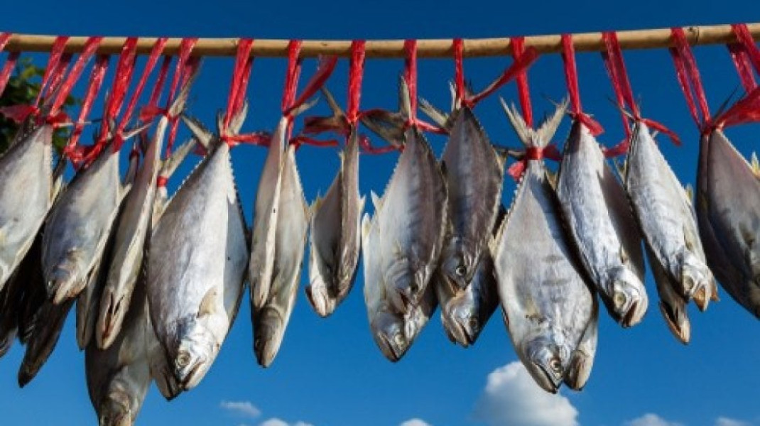 Meski Lezat Penuh Protein, 10 Ikan Laut Ini Ternyata Mengandung Merkuri Tinggi