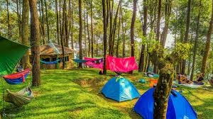 7 Destinasi Glamping di Bogor: Liburan Nyaman Plus Murah Meriah Dekat Jakarta!