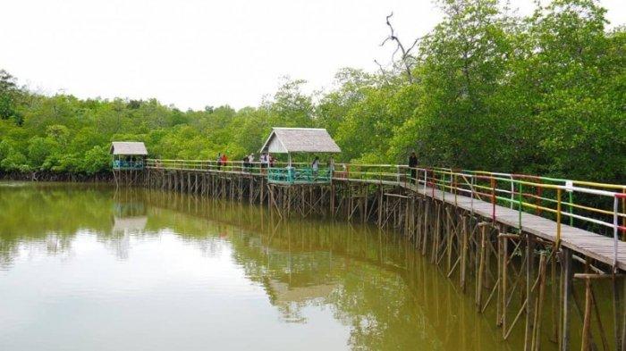 Indahnya Desa Wisata Mentawir, Ekowisata Tersembunyi Dekat Ibu Kota Negara Nusantara