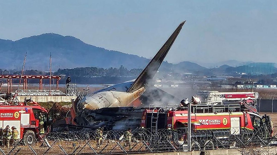 Diduga Jadi Penyebab Jeju Air Jatuh di Bandara Korsel, Apa Itu Bird Strike?