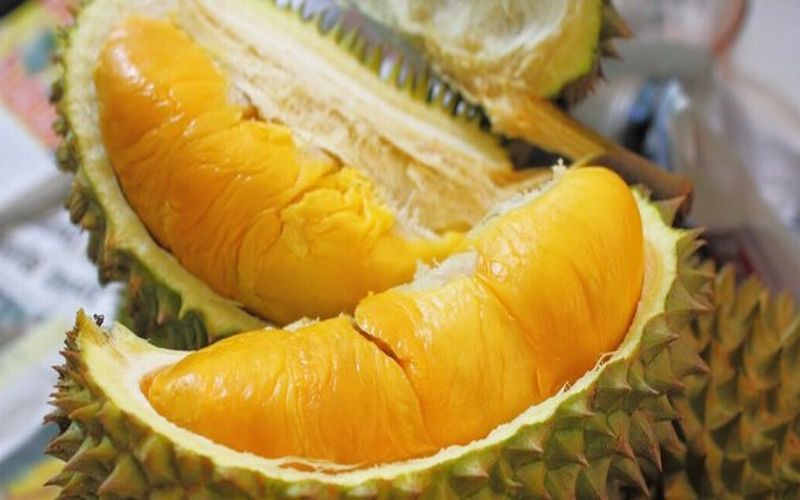 Lagi Viral Durian Vulkanik Thailand yang Jadi Incaran Banyak Orang: Daftar Tunggunya Bisa Setahun!