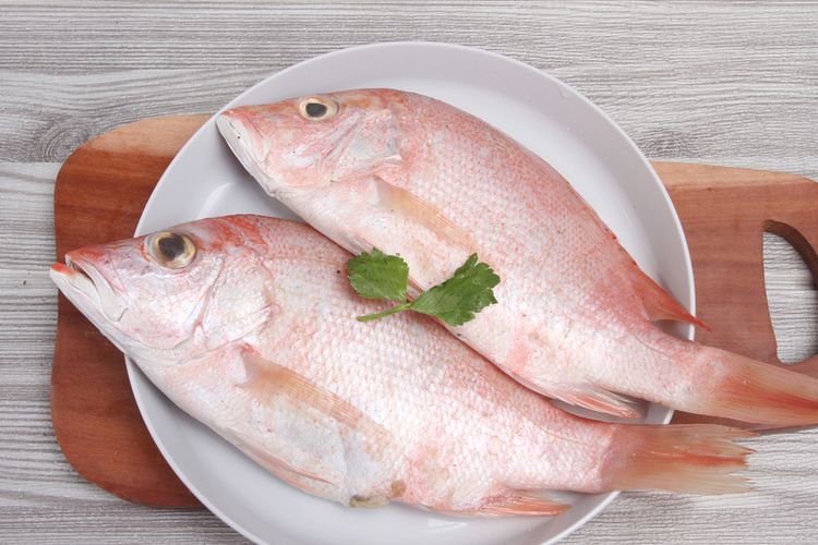 Ini Dia 5 Ikan Lokal Pengganti Salmon: Makan Sehat Tak Perlu Mahal!