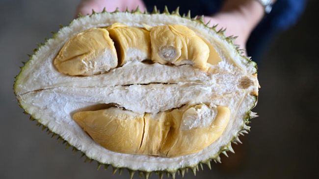 Beberapa Makanan Ini Sebaiknya Jangan Dikonsumsi Bersama Durian, Apa Saja?