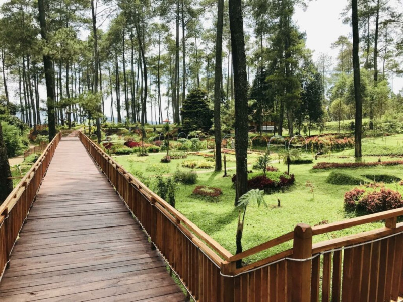 Kebon Pines Lembang, Kegiatan Outdoor Seru di Tengah Hutan Pinus: Yang Mau Nginap Ada Campervan Unik!