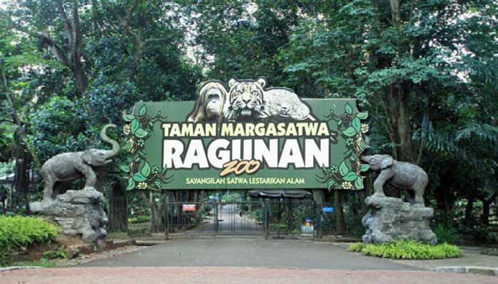Jenuh dan Stres karena Hiruk Pikuk Kota Jakarta? Ya Udah, Ngadem Aja ke Kebun Binatang Ragunan!