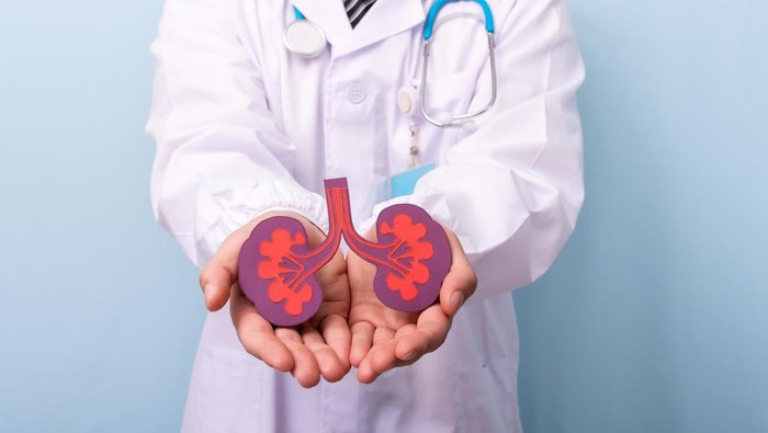 Selain Banyak Minum Air Putih, Begini Cara Menjaga Organ Ginjal Biar Sehat