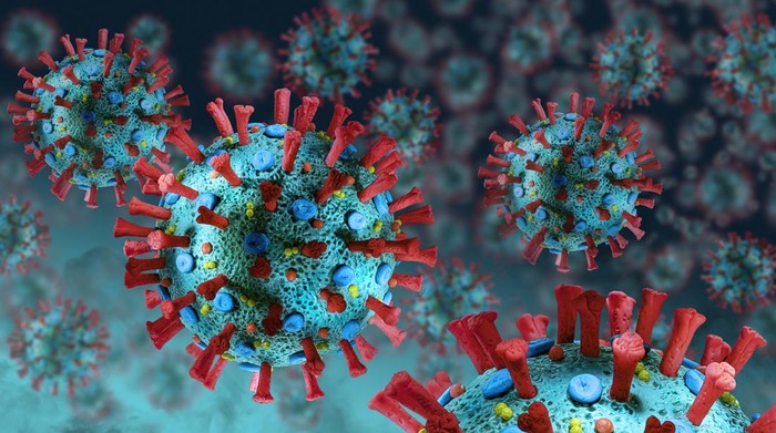 Waduh, Puluhan Virus Baru pada Hewan Terdeteksi di China: Berpotensi Jadi Wabah Baru