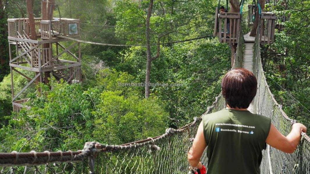 Menikmati Pesona Hutan Hujan Kalimantan Lewat Puncak Bukit Bangkirai di Dekat IKN