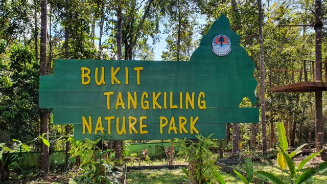 Bukit Tangkiling Palangka Raya: Keindahan Alam dan Petualangan Seru di Tengah Pulau Kalimantan