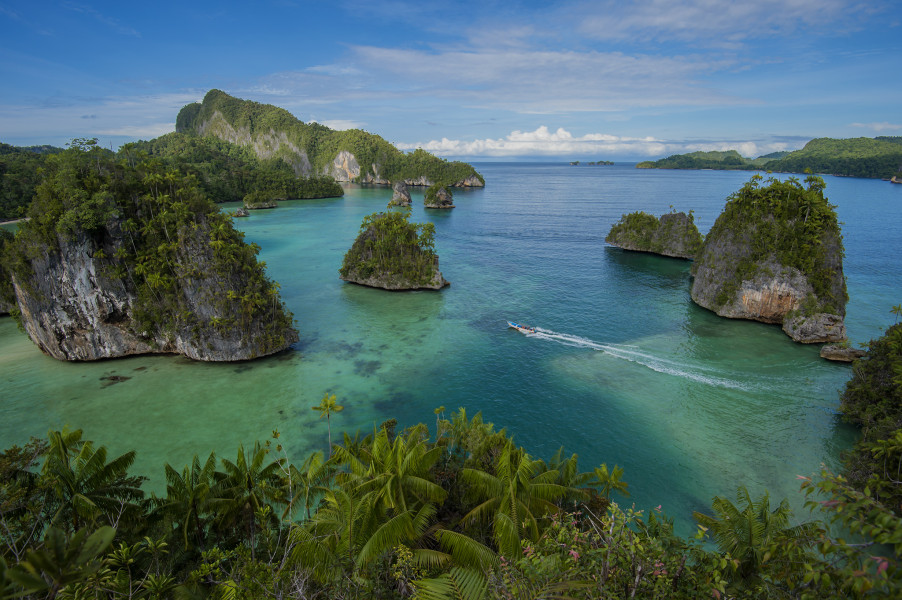 Teluk Triton, The Lost Paradise dari Papua yang tak Kalah Indah dari Raja Ampat
