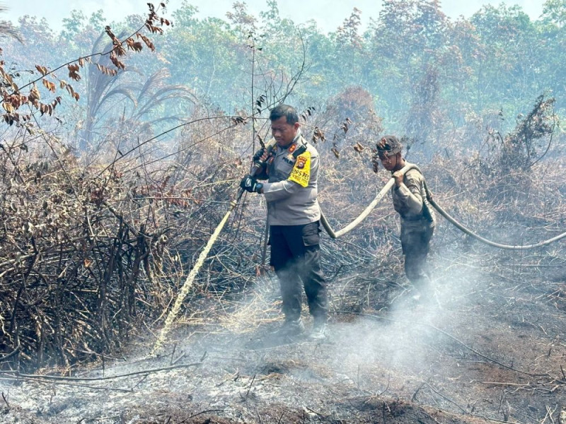 Gawat, 8 Daerah di Riau Tetapkan Status Siaga Darurat Karhutla