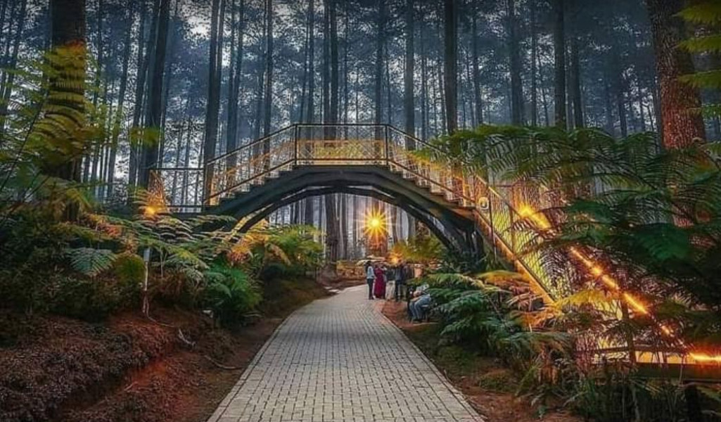 Mengintip 4 Tempat Wisata Alam Paling Keren di Bandung, Udaranya Sejuk Cocok untuk Healing