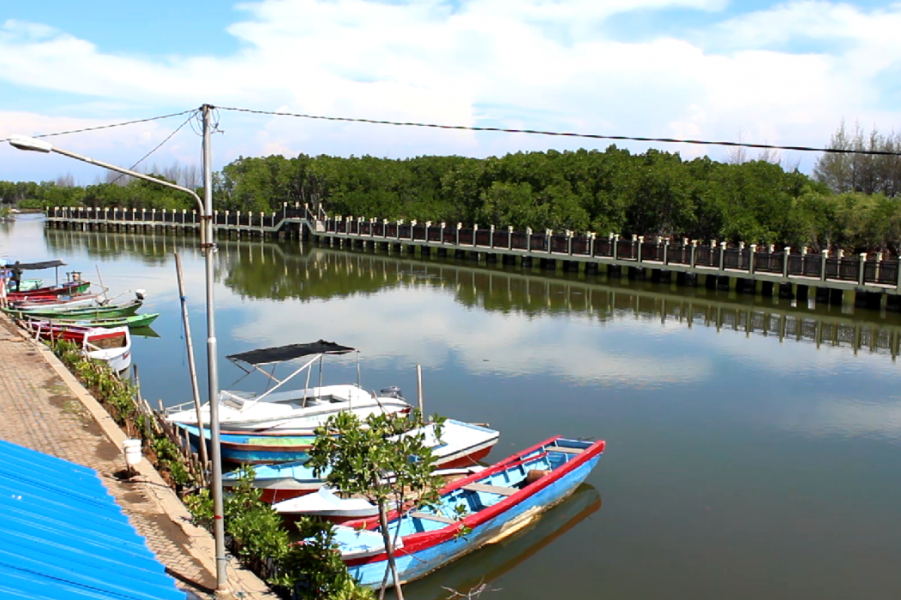 4 Wisata Baru di Wakatobi Ini Makin Kinclong Setelah Dapat Kucuran Dana Rp 96 Miliar dari Kementerian PUPR, Cek Yuk?