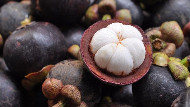Selain Pisang Raja, Manggis Terpilih Jadi Buah Terbaik se-Asia Tenggara versi Taste Atlas