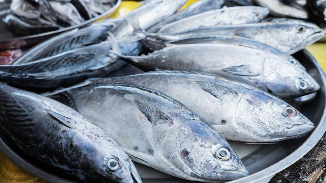Meski Mak Nyoss, 5 Ikan Ini Ternyata Mengandung Kolesterol Jahat bagi Tubuh